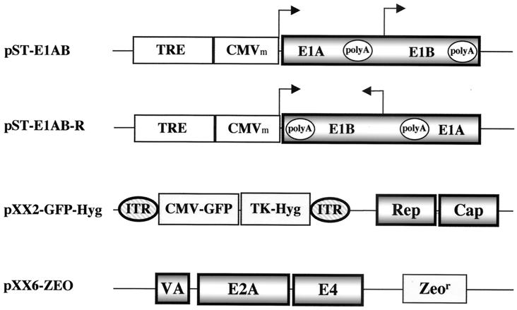 FIG. 1.