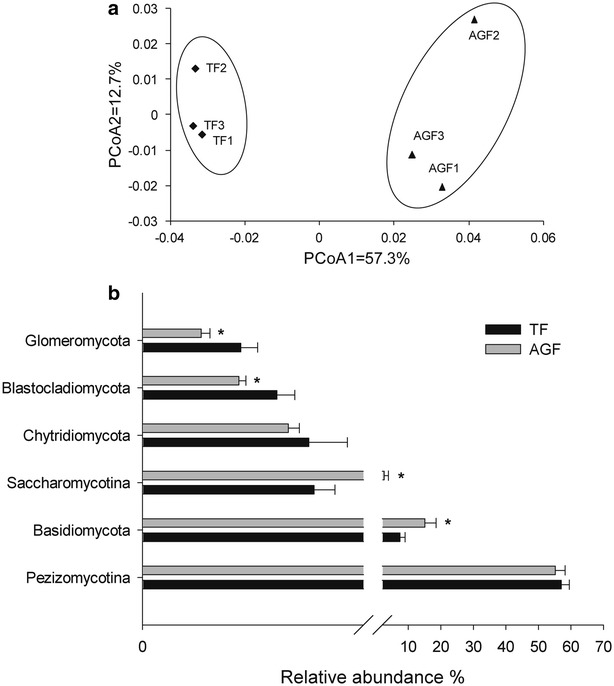 Fig. 6