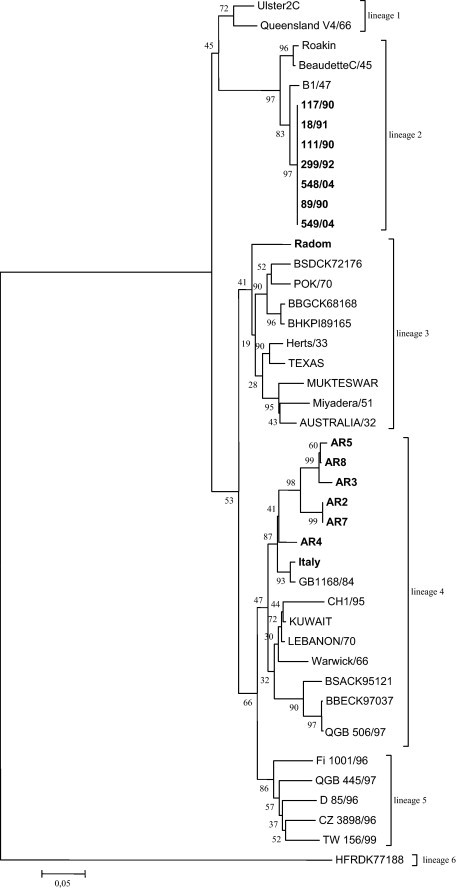 Fig. 2