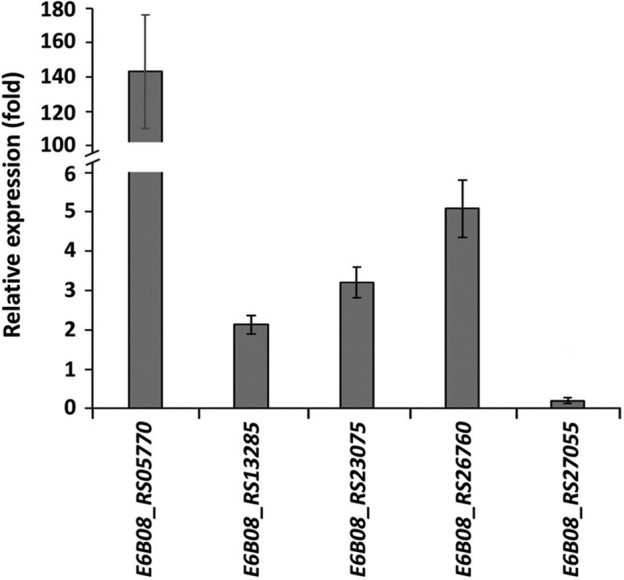 Fig. 4