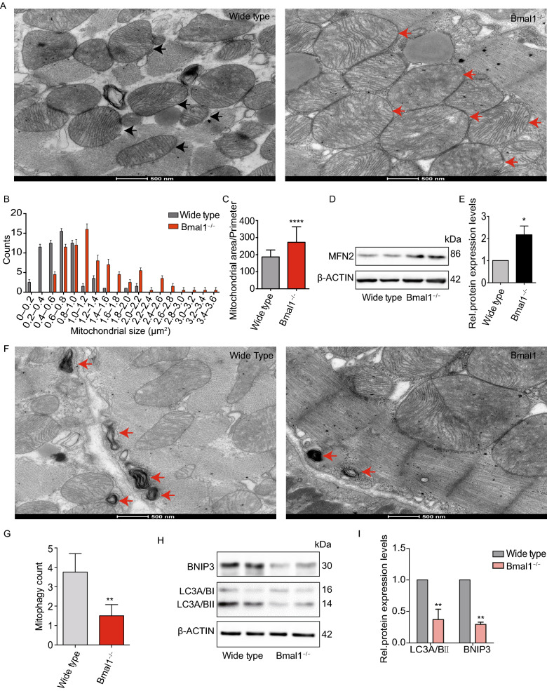 Figure 6