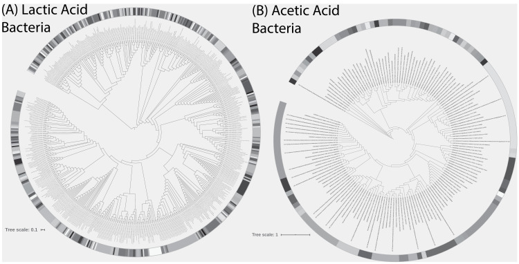 Figure 2—figure supplement 1.