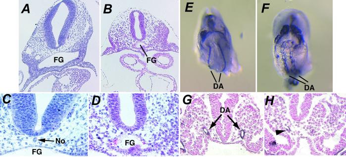 Fig 2.