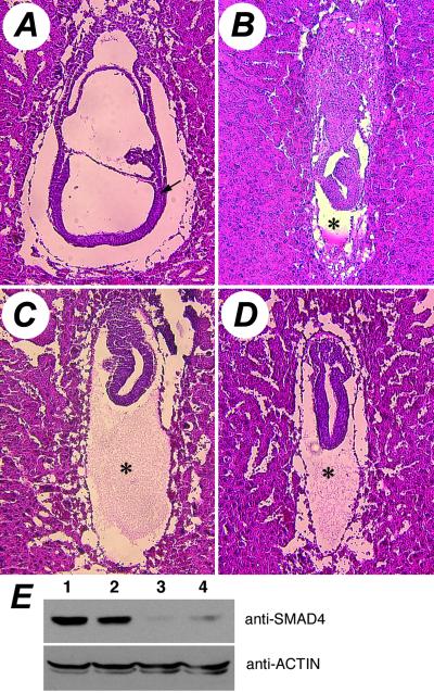 Fig 3.