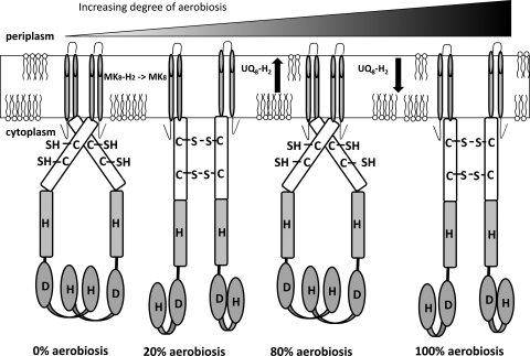 FIG. 7.