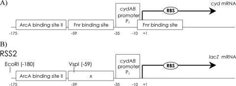 FIG. 1.