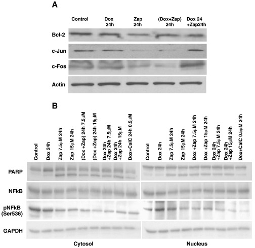 Fig. 8