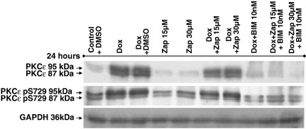 Fig. 5