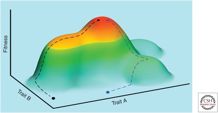 Figure 2.