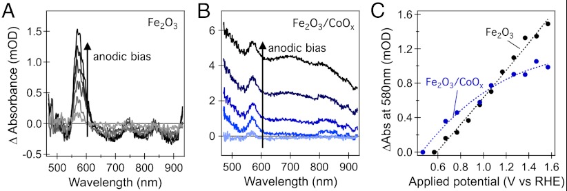 Fig. 5.