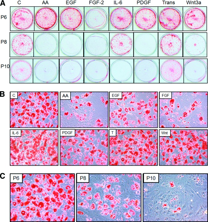 Figure 3.