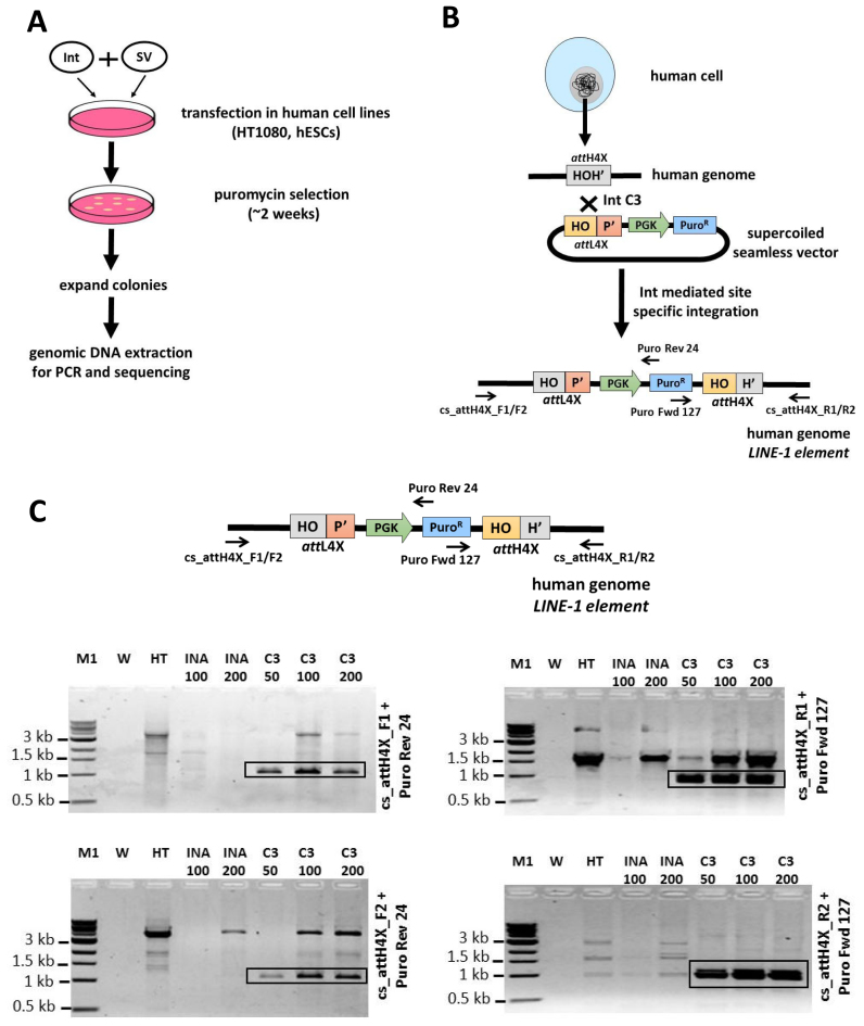 Figure 2.