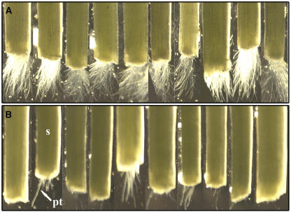 Figure 10.