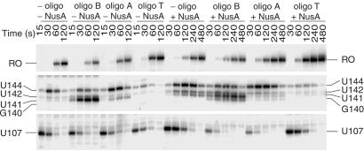 Fig 7.