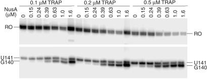 Fig 6.