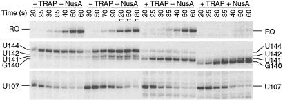 Fig 3.