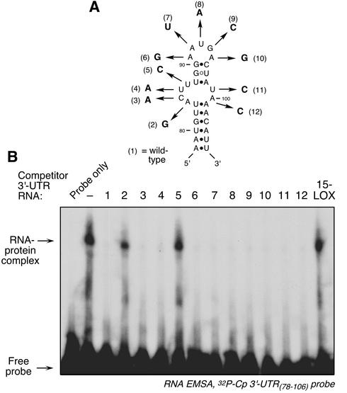 FIG. 8.