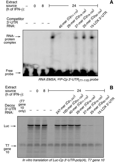 FIG. 5.