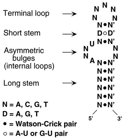 FIG. 11.