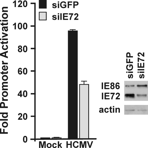 FIG. 5.