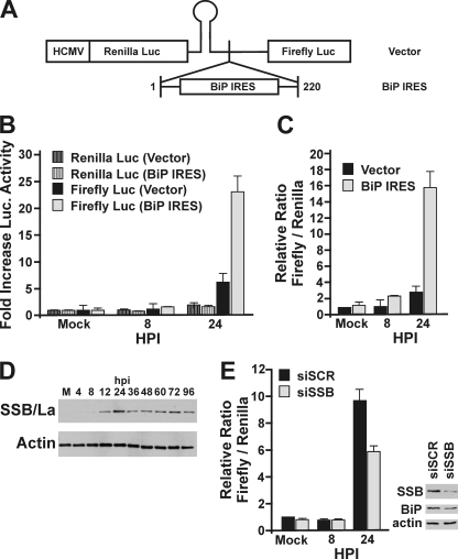 FIG. 6.