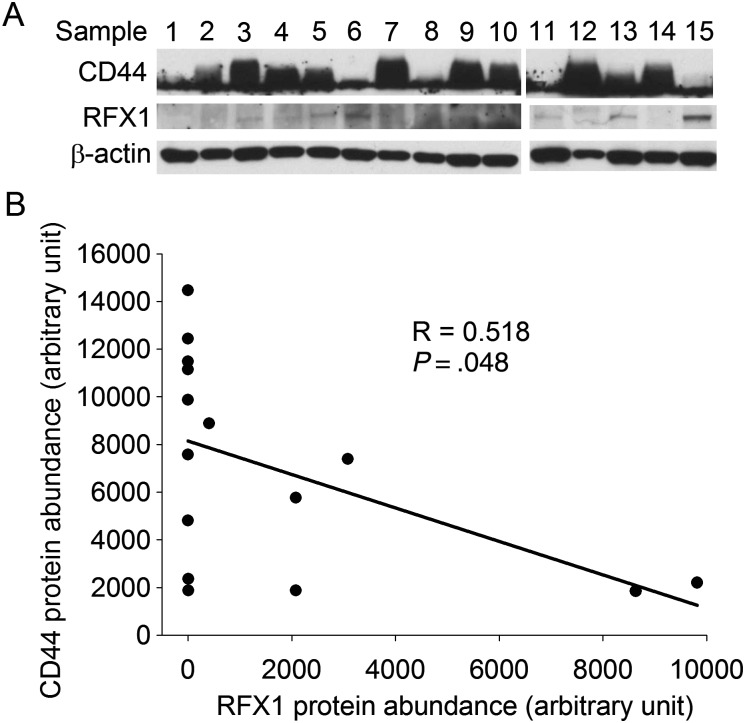 Fig. 2.