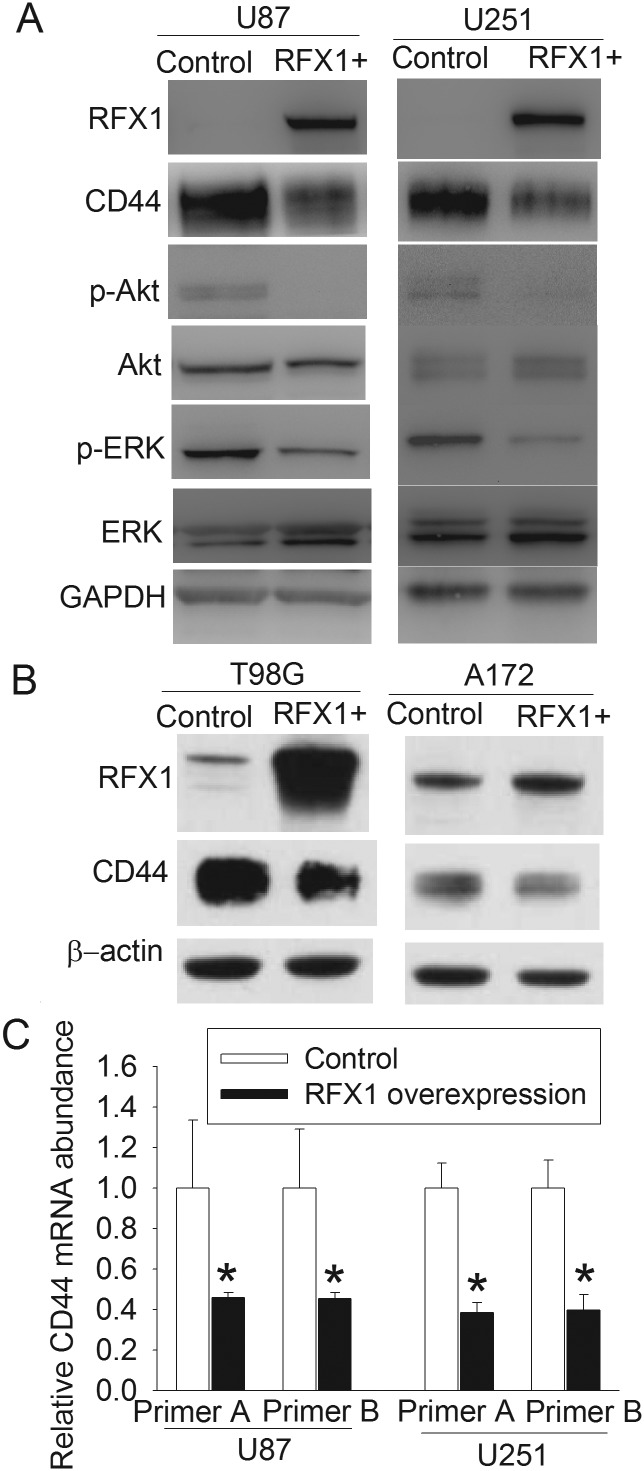 Fig. 1.