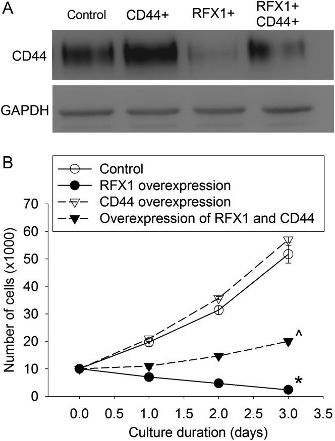 Fig. 8.