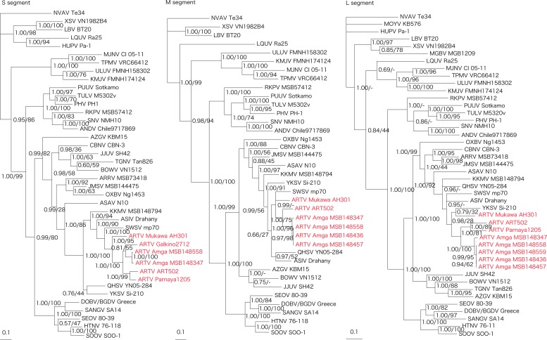 FIG. 2.