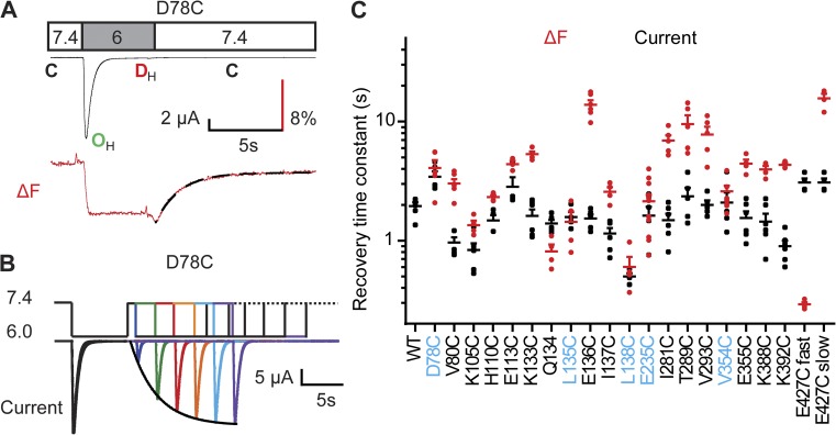 Figure 7.