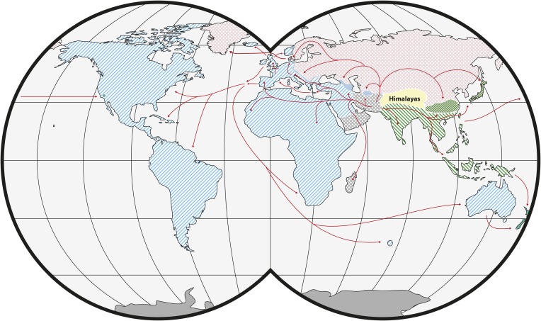 Figure 1.