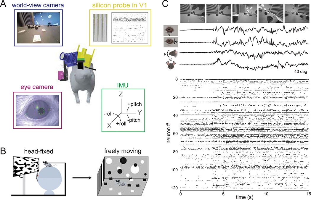 Figure 1: