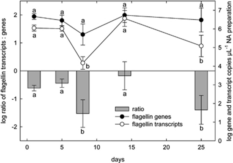 Figure 5