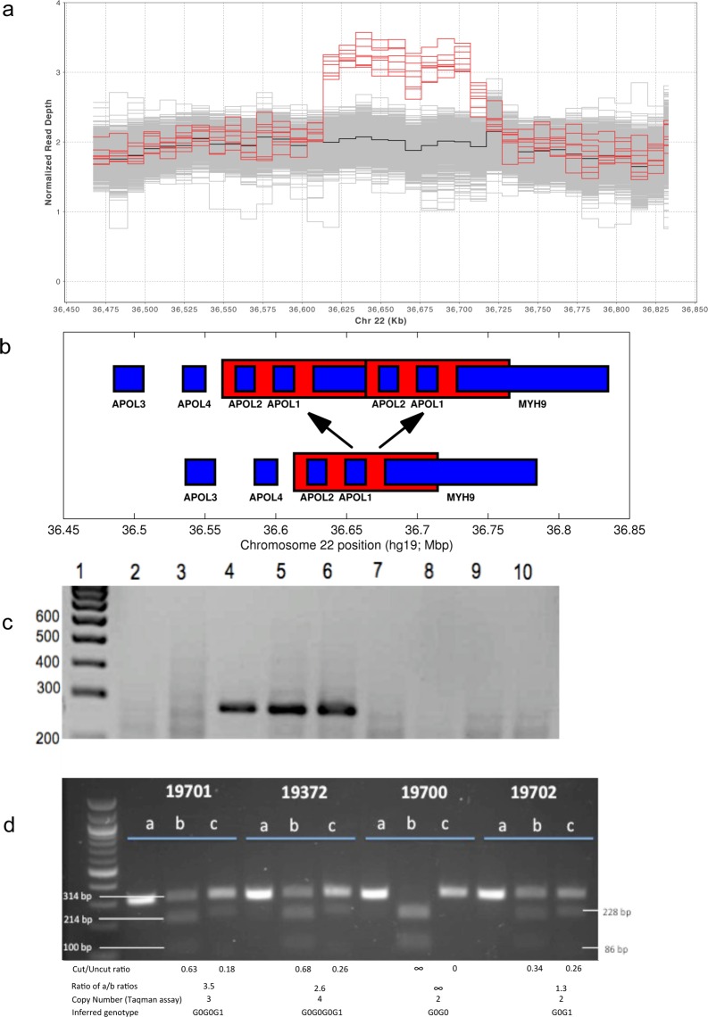 Fig 1