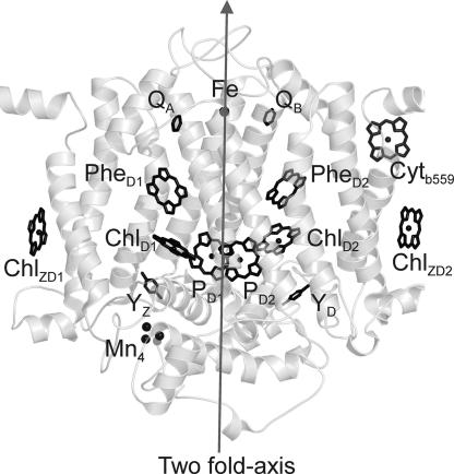 Fig. 1.