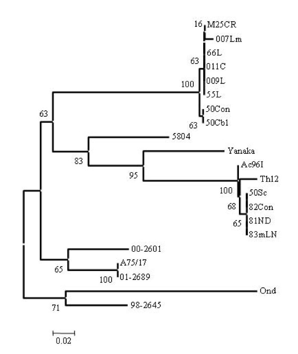 Figure 5