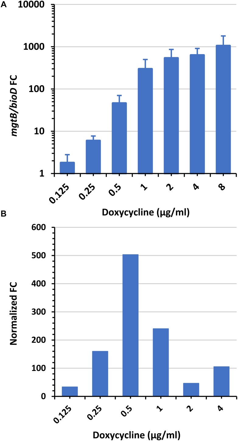 FIGURE 3