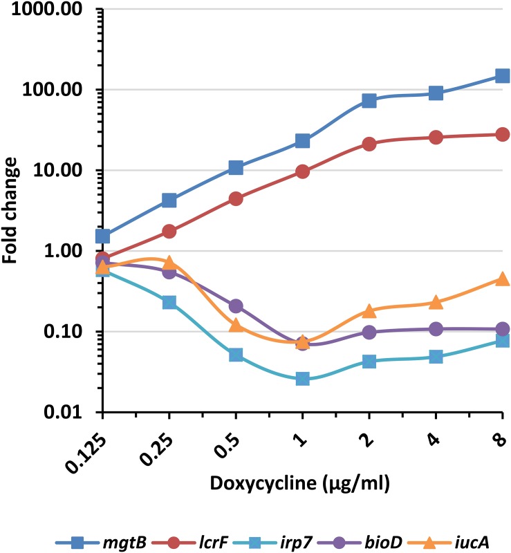 FIGURE 2