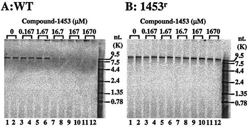 FIG. 7.