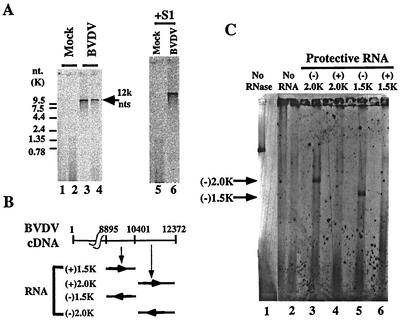 FIG. 6.