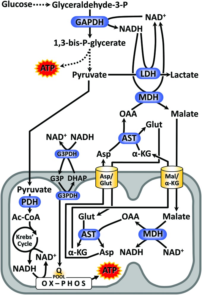 FIG. 4.