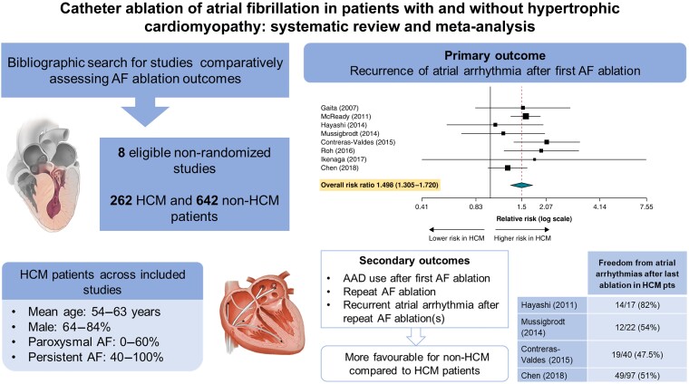 Graphical abstract