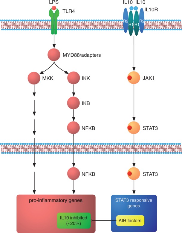 Figure 1: