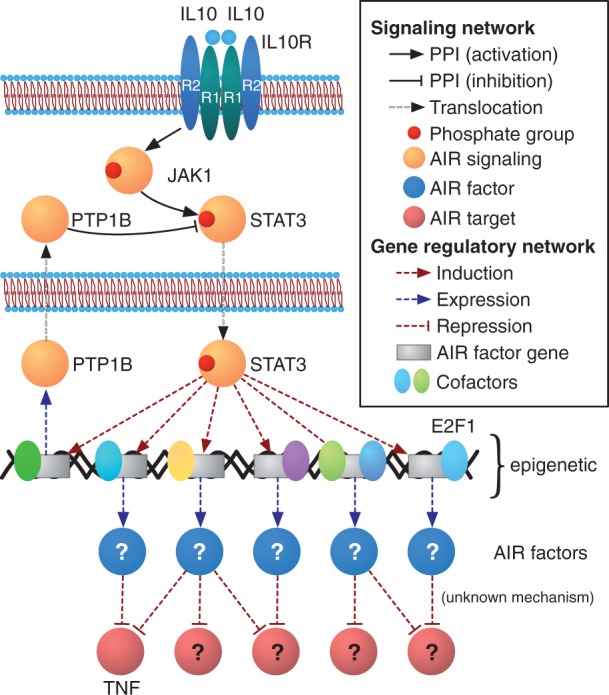 Figure 3: