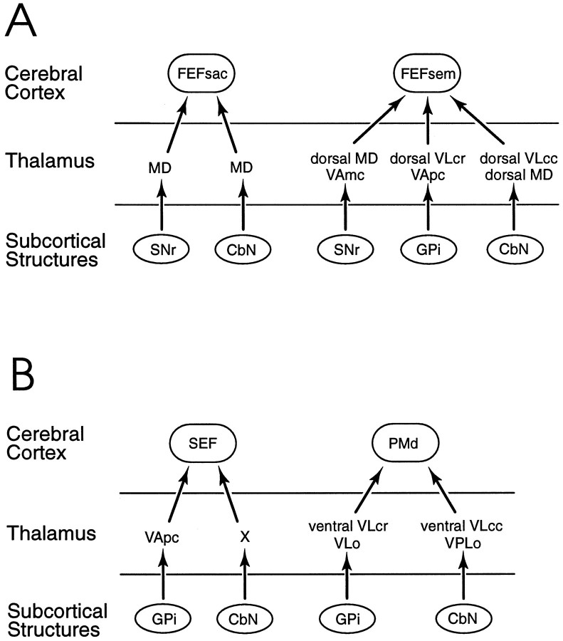 Fig. 10.