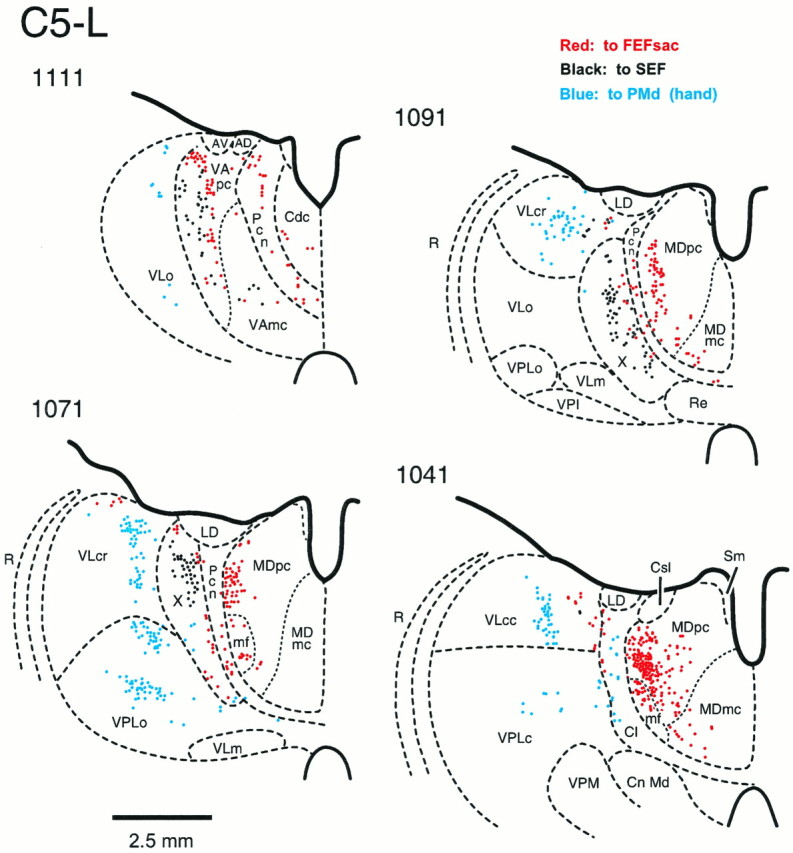 Fig. 7.