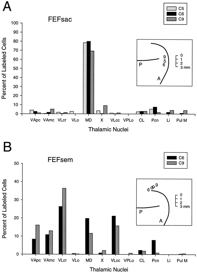 Fig. 9.