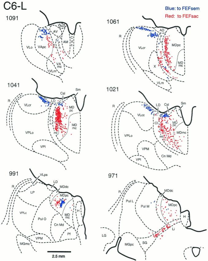 Fig. 6.