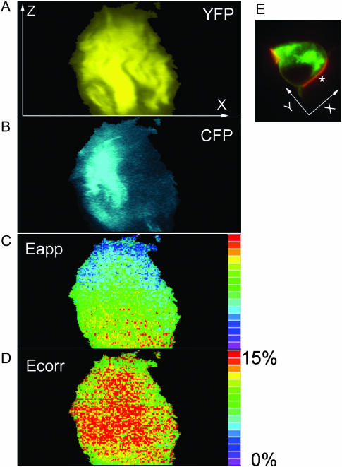 FIGURE 4