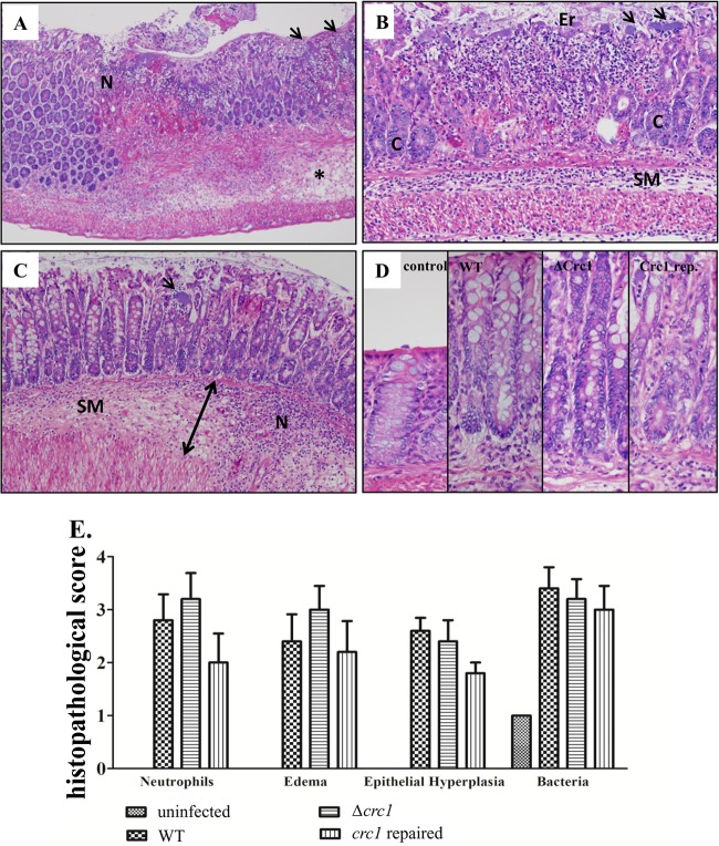 FIG 4